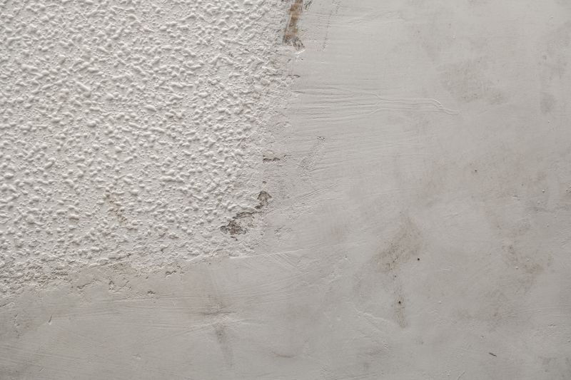 Ceiling Texturing Service