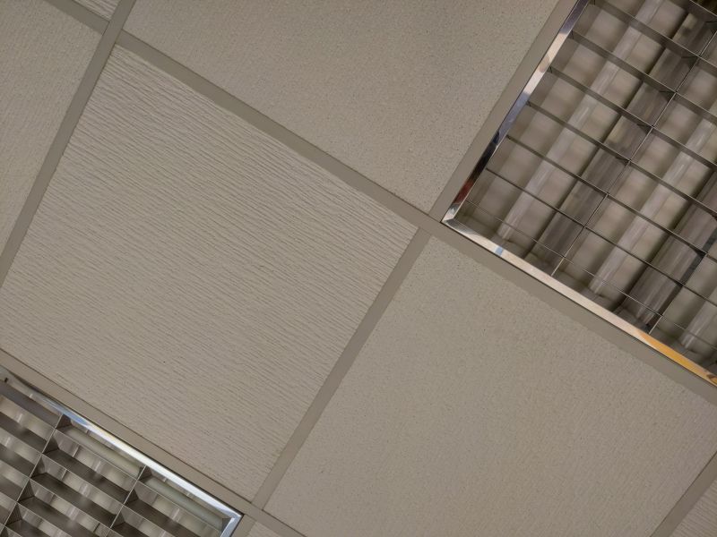 Ceiling Texturing Service