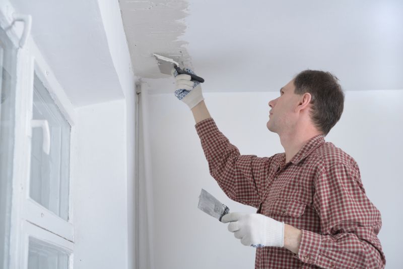 Plaster Ceiling Installation