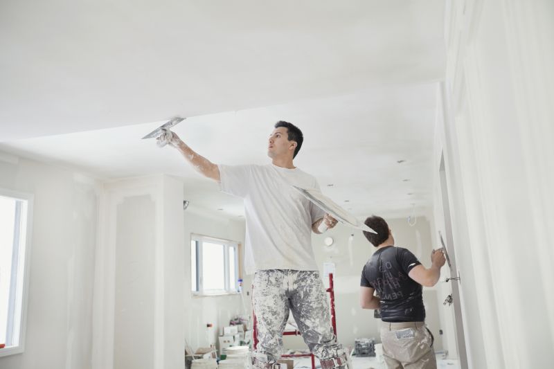 Plaster Ceiling Installation